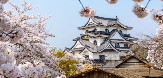 Château Hikone