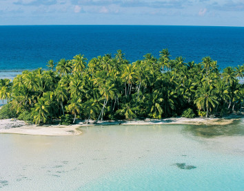 Ilot Tahiti Cocotiers Océan Paysage 